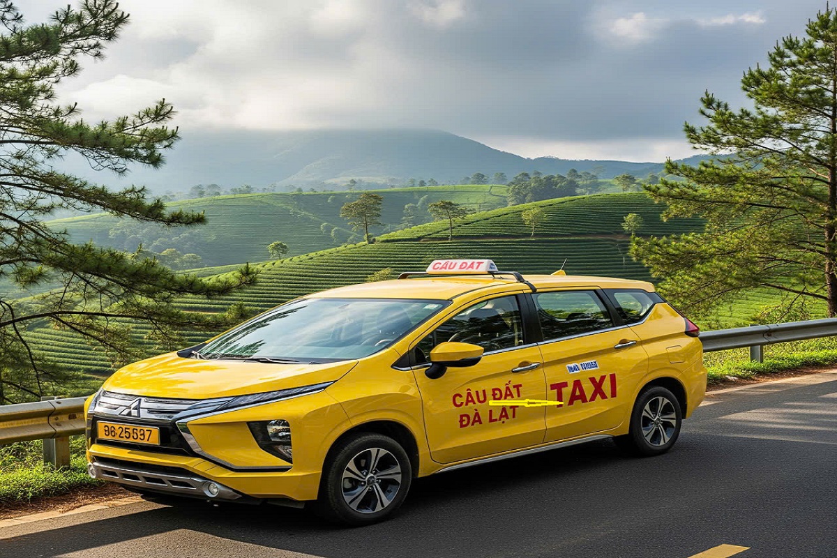 Taxi Cầu Đất Đà Lạt không chỉ đưa bạn đến điểm tham quan, mà còn có thể chở bạn đi khắp các địa điểm nổi tiếng khác trong khu vực như Đồi chè Cầu Đất, Cánh đồng hoa Lavender, hay khu vực săn mây. Đây là lựa chọn lý tưởng cho các nhóm bạn, gia đình hoặc những ai muốn khám phá Cầu Đất một cách thoải mái nhất.