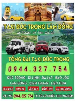 cuu-ho-kich-binh-xe-o-to-da-lat-lam-dong